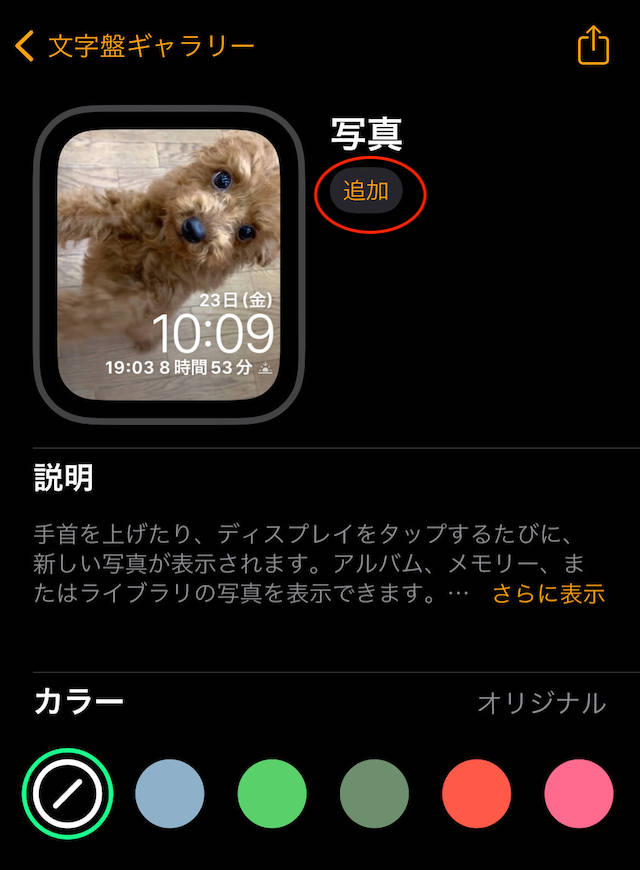 アップルウォッチで写真表示できる文字盤に写真を追加